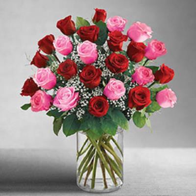 Cedar Knolls Florist | 24 Pink  & Red Roses