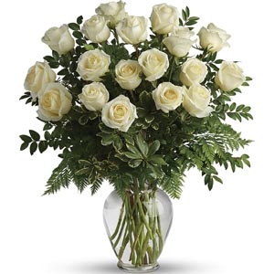 Cedar Knolls Florist | 18 White Roses