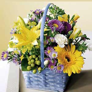 Cedar Knolls Florist | Beautiful Basket