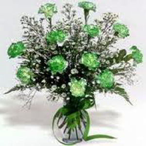 Cedar Knolls Florist | Dz Green Carnations
