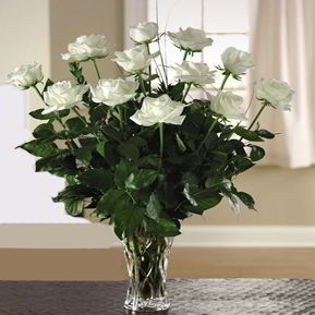 Cedar Knolls Florist | 12 White Roses 