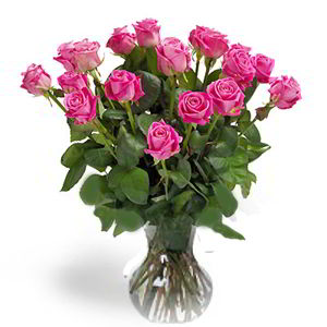 Cedar Knolls Florist | 18 Pink Roses