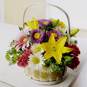 Cedar Knolls Florist | Bright Basket