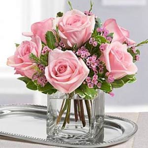 Cedar Knolls Florist | 6 Pink Roses