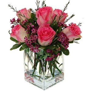 Cedar Knolls Florist | 6 Two Tone Roses