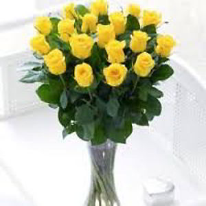 Cedar Knolls Florist | 18 Yellow Roses