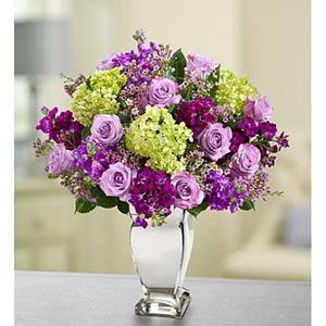 Cedar Knolls Florist | Lavender Collection