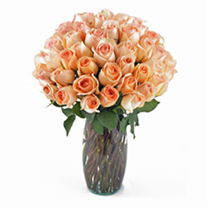 Cedar Knolls Florist | 36 Peach Roses