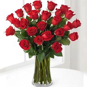Cedar Knolls Florist | 24 Red Roses