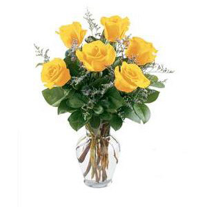 Cedar Knolls Florist | 6 Yellow Roses